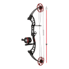 CAJUN SHORE RUNNER EVS BOWFISHING BOW WITH SPINCAST REEL